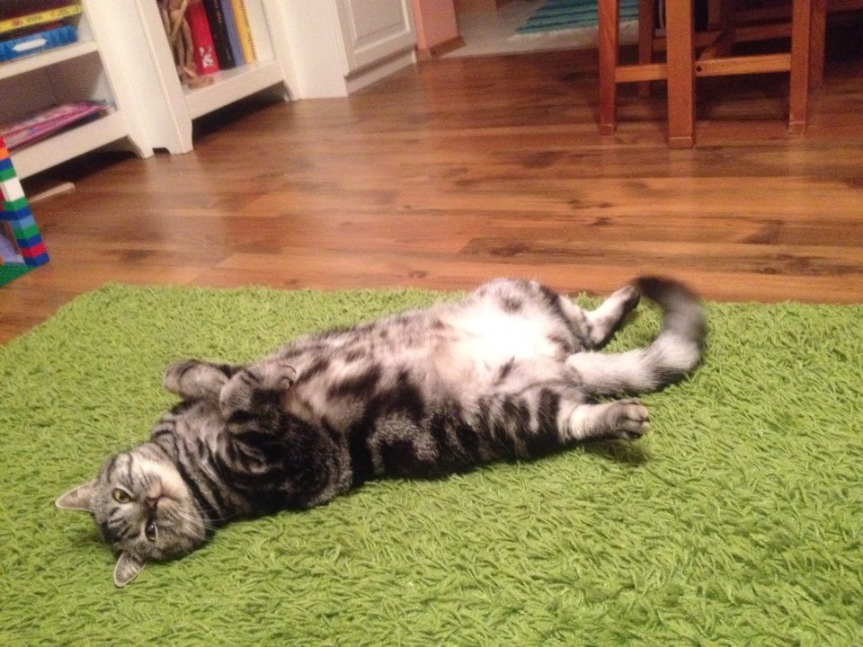 1422577 644444082264635 1991979769 n