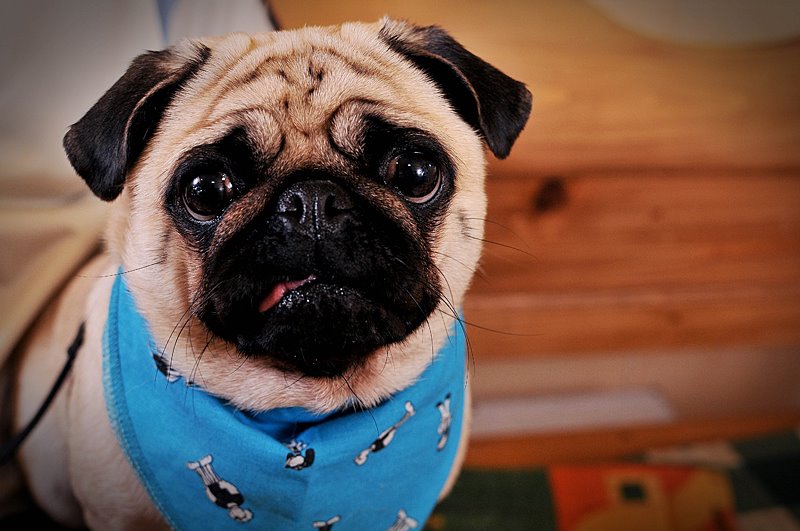 297359 268252446539962 593861251 n